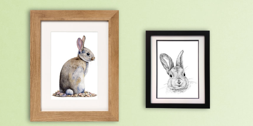 two framed rabbit illustrations on a pale green wall